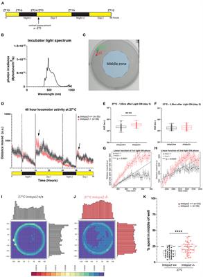 Characterization of tmt-opsin2 in Medaka Fish Provides Insight Into the Interplay of Light and Temperature for Behavioral Regulation